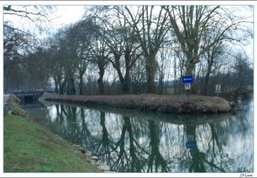 Randonnée Marche Dole - Canal de Dole - Photo