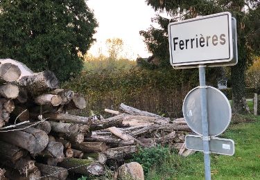 Tour Wandern Ferrières - Ferrières lègèrement vallonné par bois et campagne - Photo