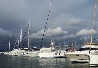 Tour Wandern Saint-Raphaël - Port Santa Lucia à Plage de Boulouris  - Photo