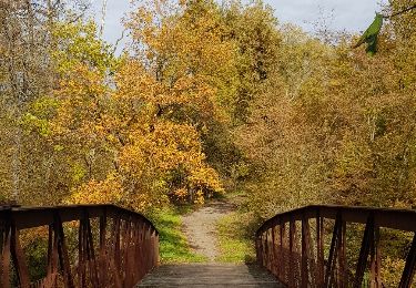 Tocht Stappen Hotton - Fronville - Monteuville - Petihan - Photo