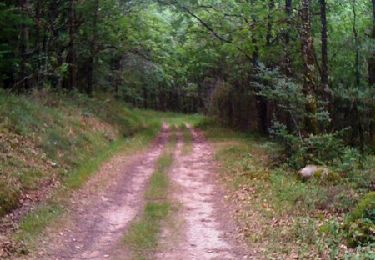 Trail Walking Brive-la-Gaillarde - De la vallée de Planchetorte à Noailles - Photo