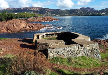 Excursión Senderismo Saint-Raphaël - Plage de Camp Long à MF du Poussaï - Photo