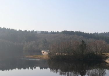 Tocht Stappen Saint-Léger-la-Montagne - Le Mazeaud - Brugères - L'étang de l'Âne - Saignedresse - Lasgorceix - Photo