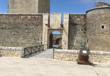 Tour Wandern Fouras - Boucle port nord ,Chevalier,Espérance Sémaphore  - Photo