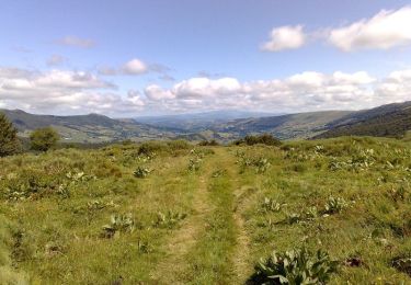 Trail Walking Le Claux - La crête du Peyre Arse - Le Claux - Photo