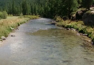 Trail Walking Névache - lac laramon 14-08-18 - Photo