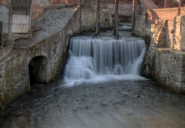 Randonnée Marche Marœuil - Le bois de la ville - Mont saint Eloi - Photo