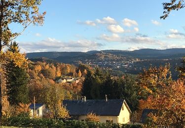 Tour Wandern Haselburg - chapelle st Fridolin Haselbourg maisons troglodyte  - Photo