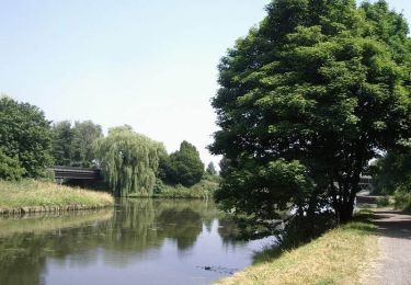 Tocht Mountainbike Armentiers - Circuit entre Lys et Voie verte (19 km) - Armentières - Photo