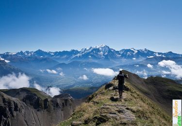 Tocht Stappen La Clusaz - Le sommet de Tardevant par le Passage de la Grande Forclaz - Photo