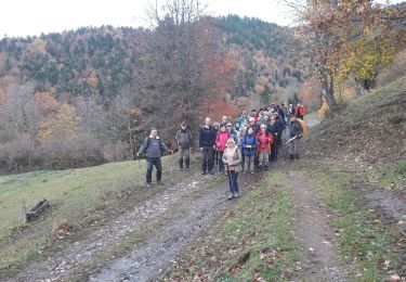 Randonnée Marche Bitschwiller-lès-Thann - 18.11.13.Bitschwiller - Photo