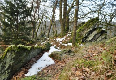Trail Walking Bertrix - IR-221 Variante - La vallée des Munos et la voie des pierres qui parlent Rando au pays des scailtons entre forêt, rivière et pierre - Photo