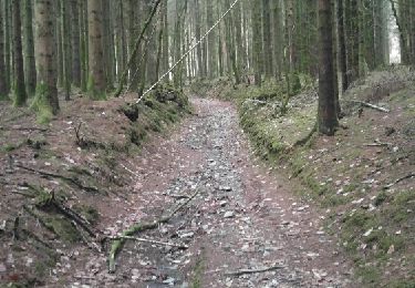 Trail Walking Les Mazures - Le tour des roches de l'empereur Les Mazures - Photo