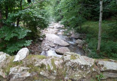 Tour Wandern Castans - Boucle des ruisseaux - Castans - Photo
