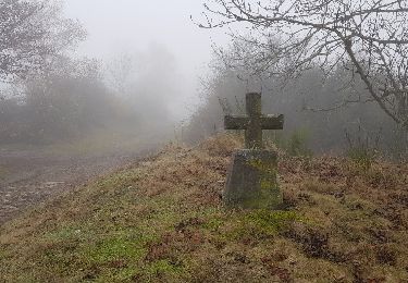 Tocht Stappen Charbonnières-les-Varennes - Paugnat-Tournoel-Paugnat - Photo