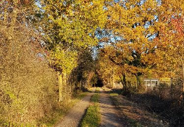 Percorso Marcia Marche-en-Famenne - verdenne - menile  - Photo