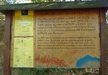 Tour Wandern Pechbusque - De Pechbusque à Auzeville Tolosane - Photo