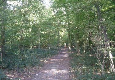 Trail Walking Mons-en-Pévèle - Autour du site ornithologique du bois des Cinq Tailles  - Mons en Pévèle - Photo