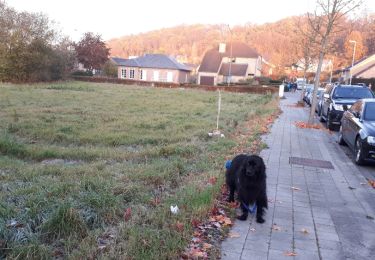 Tocht Stappen Leuven - Kessel lo - Photo