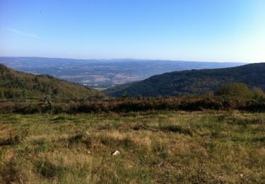 Randonnée Marche Labruguière - Le Carbonéral - Labruguière - Photo