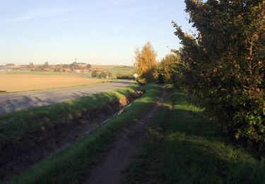 Tocht Stappen Mons-en-Pévèle - Circuit de mémoire du PP - Mons en Pévèle - Photo