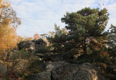 Excursión Senderismo Fontainebleau - Apremont et Franchard - Forêt de Fontainebleau - Photo