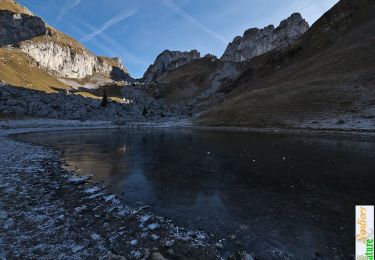 Tour Wandern Bernex - Traversée de la Pointe de Pelluaz, 1908m - Photo