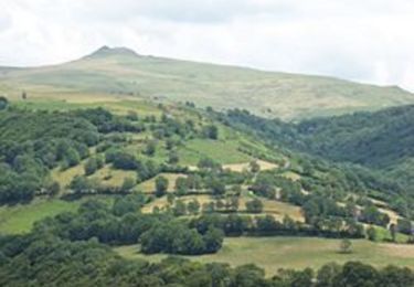 Randonnée Marche Le Fau - Crêtes entre Salers et Mandailles : du Puy Chavaroche au Puy Violent. - Photo