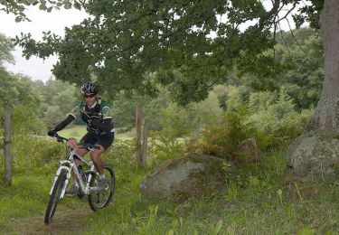 Trail Mountain bike Ménil-Hubert-sur-Orne - Rando raid du Pont d'Ouilly - 35 km - 2011 - Photo
