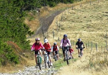 Excursión Bici de montaña Les Estables - Site VTT FFC du Mézenc et de la Loire sauvage - Circuit n° 04 - Tour du Mont Alambre  - Photo