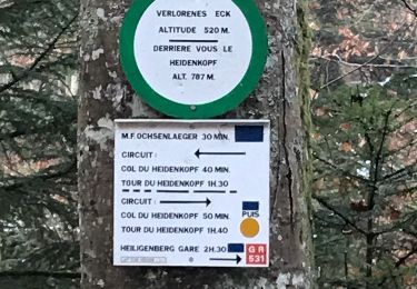 Randonnée Marche Rosheim - verloreneck tour heidenkopf  - Photo