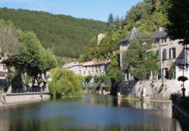 Tour Wandern Roqueredonde - Grande Traversée de l'Hérault à VTT - de Roqueredonde à Montbarri - Photo