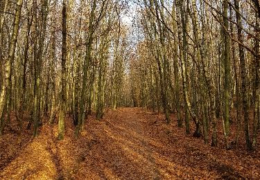 Tocht Stappen Rendeux - Beffe - Trinal - Werpin - Photo