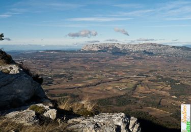 Tocht Stappen Pourcieux - Le Mont Aurélien, une traversée - Pourcieux - Photo