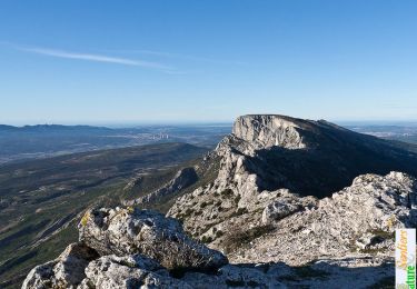 Trail Walking Puyloubier - Le Pic des Mouches, depuis Puyloubier - Photo