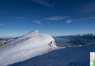 Tour Schneeschuhwandern Lans-en-Vercors - Le Pic Saint-Michel en raquettes (2012) - Photo