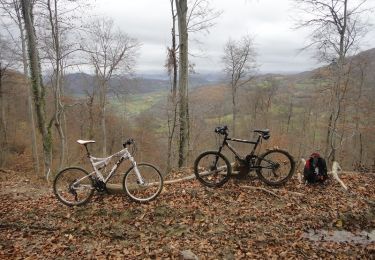 Trail Mountain bike Arbas - Circuit VTT n°32 Arbas - Photo