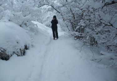 Randonnée Raquettes à neige Orcines - Les bacs de Montmeyre et Ceyssat - Photo