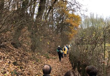 Tour Wandern Blegny - Saive Surprenante découverte - Photo