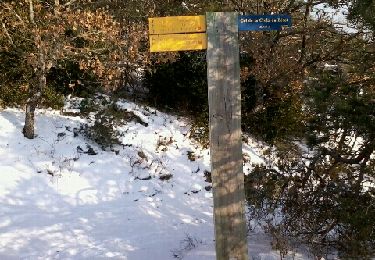 Trail Walking Vaunaveys-la-Rochette - Croix du Bésot - Photo