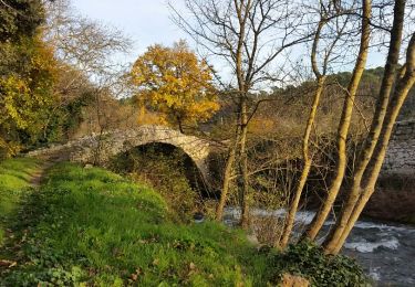 Trail Walking Besse-sur-Issole - besse sur issole les agus déc 2018 - Photo