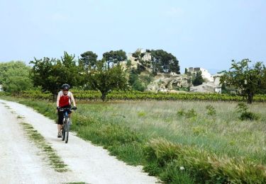 Excursión Bici de montaña Cadenet - La Soupe aux Choux 2006 - 25km - Photo