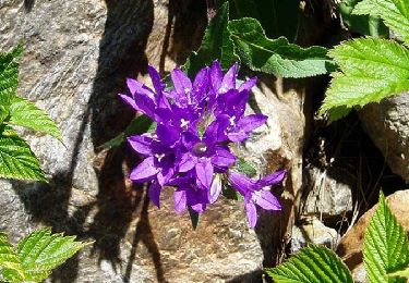 Trail Walking Mérens-les-Vals - Chemin des Bonhommes - Merens Porta - Photo