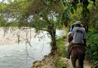 Tocht Paard Dalou - Dalou - Pamiers - Photo