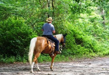 Trail Equestrian Escosse - Boucle du Terrefort - Escosse - Saverdun - Photo