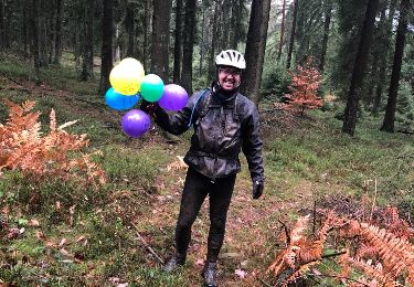 Tocht Andere activiteiten Manhay - les électriques  - Photo