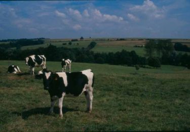 Tocht Stappen Vervins - La grande-denteuse - Photo