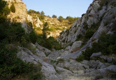 Trail Walking Gruissan - Combe de Lavit - Photo