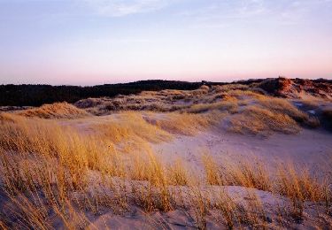 Tour Wandern Fort-Mahon-Plage - La dune de l'Authie - Photo