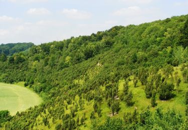 Randonnée Marche Bouchon - Les larris de la vallée de Bouchon à Villers-sous-Ailly - Photo